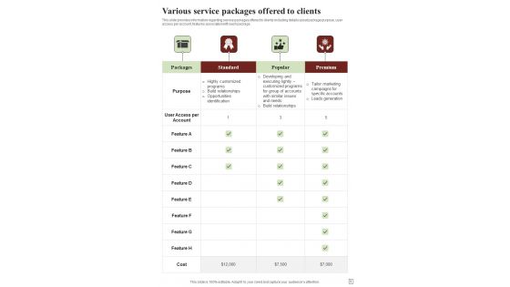 Effective Selling Techniques Playbook For Sales Representative Template