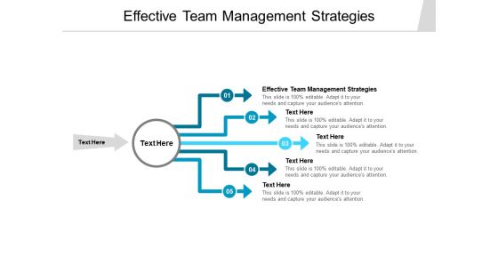 Effective Team Management Strategies Ppt PowerPoint Presentation Summary Display Cpb