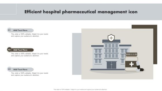 Efficient Hospital Pharmaceutical Management Icon Summary PDF