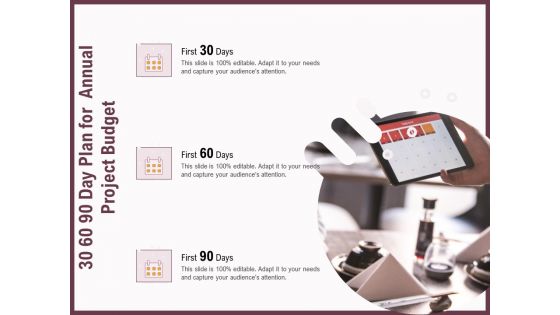 Elements 30 60 90 Day Plan For Annual Project Budget Ppt Show Introduction PDF