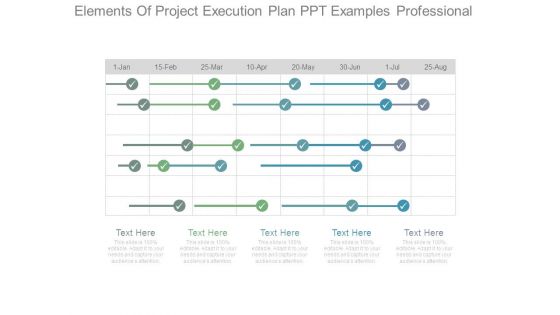 Elements Of Project Execution Plan Ppt Examples Professional