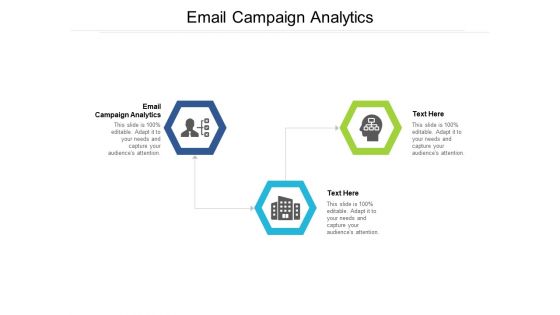 Email Campaign Analytics Ppt PowerPoint Presentation Infographic Template Skills Cpb