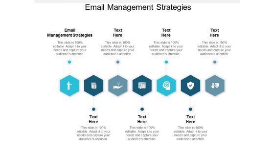Email Management Strategies Ppt PowerPoint Presentation File Slideshow Cpb