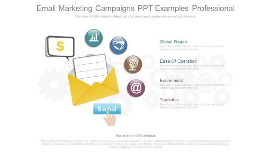 Email Marketing Campaigns Ppt Examples Professional