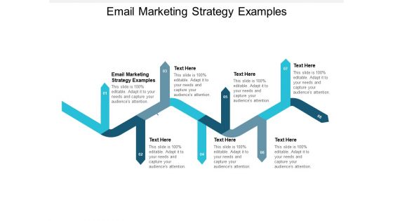 Email Marketing Strategy Examples Ppt PowerPoint Presentation Show Guide Cpb