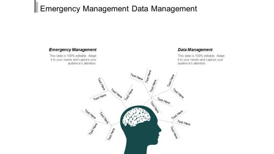 Emergency Management Data Management Management Facility Planning Ppt PowerPoint Presentation Infographics Graphics Tutorials