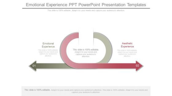 Emotional Experience Ppt Powerpoint Presentation Templates