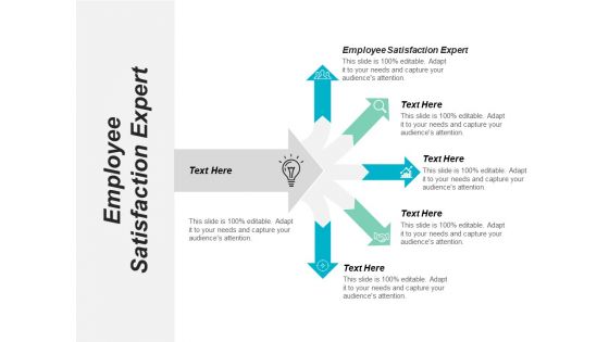 Employee Satisfaction Expert Ppt PowerPoint Presentation Pictures Information Cpb