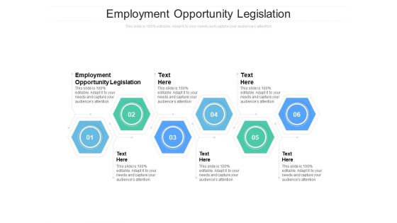 Employment Opportunity Legislation Ppt PowerPoint Presentation Outline Maker Cpb