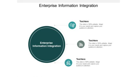 Enterprise Information Integration Ppt Powerpoint Presentation Gallery Templates Cpb