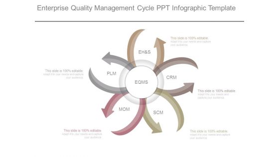 Enterprise Quality Management Cycle Ppt Infographic Template