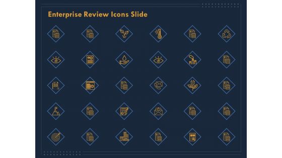Enterprise Review Icons Slide Ppt Summary Show PDF
