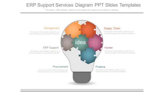 Erp Support Services Diagram Ppt Slides Templates