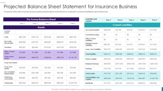Establishing Insurance Company Projected Balance Sheet Statement For Insurance Business Download PDF