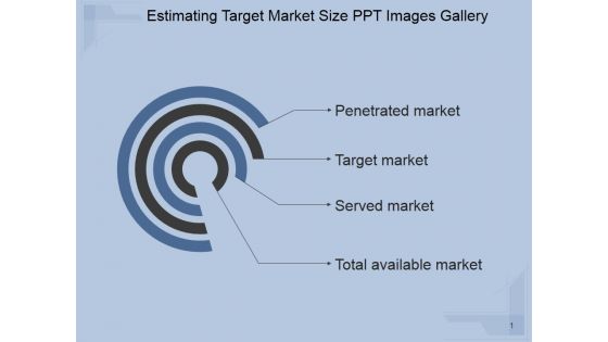 Estimating Target Market Size Ppt PowerPoint Presentation Layout