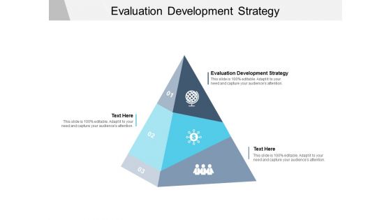 Evaluation Development Strategy Ppt PowerPoint Presentation Pictures Display Cpb