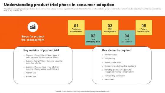 Examining Customer Experience Path To Enhance Adoption Rate Understanding Product Trial Phase In Consumer Formats PDF