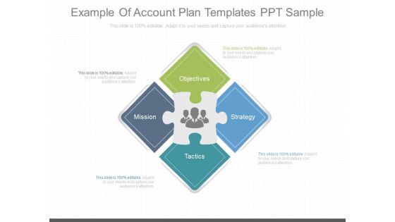 Example Of Account Plan Templates Ppt Sample