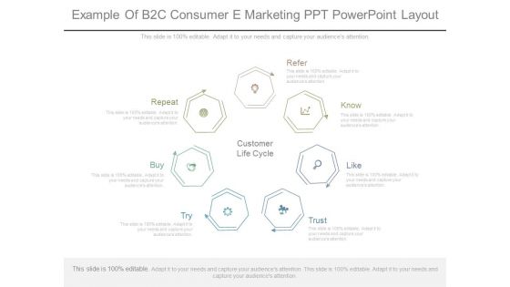 Example Of B2c Consumer E Marketing Ppt Powerpoint Layout