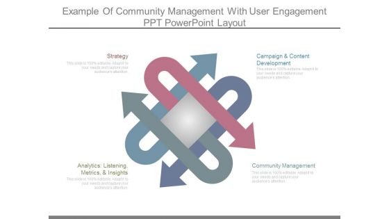 Example Of Community Management With User Engagement Ppt Powerpoint Layout