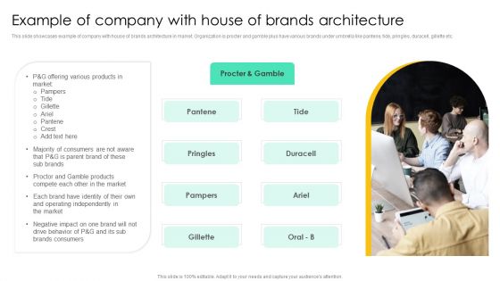 Example Of Company With House Of Brands Architecture Formats PDF