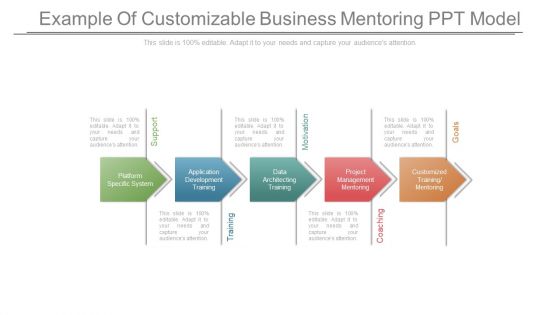 Example Of Customizable Business Mentoring Ppt Model