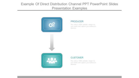 Example Of Direct Distribution Channel Ppt Powerpoint Slides Presentation Examples