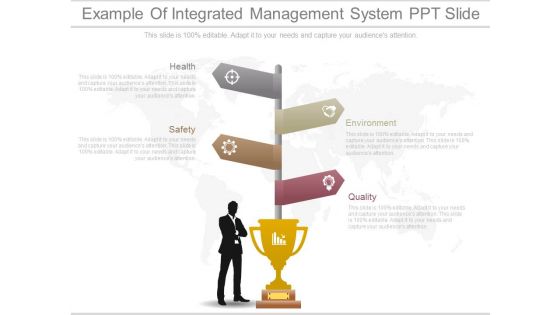 Example Of Integrated Management System Ppt Slide