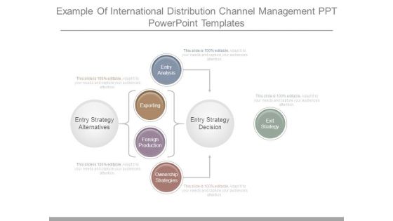 Example Of International Distribution Channel Management Ppt Powerpoint Templates