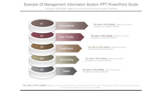 Example Of Management Information System Ppt Powerpoint Guide
