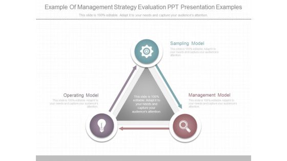 Example Of Management Strategy Evaluation Ppt Presentation Examples
