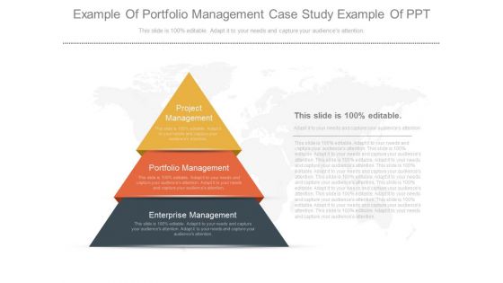 Example Of Portfolio Management Case Study Example Of Ppt