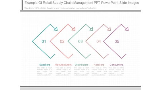 Example Of Retail Supply Chain Management Ppt Powerpoint Slide Images