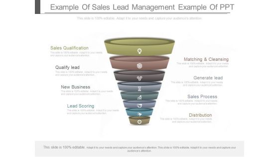 Example Of Sales Lead Management Example Of Ppt