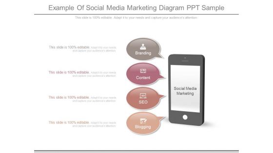 Example Of Social Media Marketing Diagram Ppt Sample