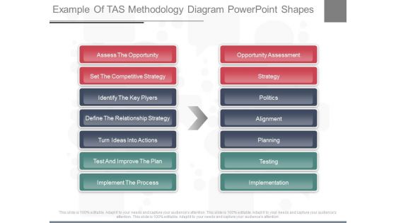 Example Of Tas Methodology Diagram Powerpoint Shapes Example Of Tas Methodology Diagram Powerpoint Shapes