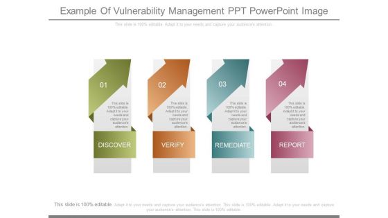 Example Of Vulnerability Management Ppt Powerpoint Image