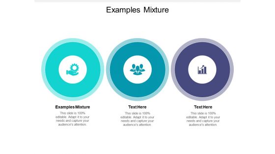 Examples Mixture Ppt PowerPoint Presentation Gallery Clipart Cpb Pdf