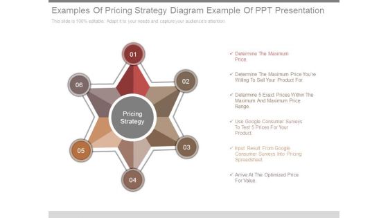 Examples Of Pricing Strategy Diagram Example Of Ppt Presentation
