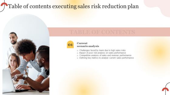Executing Sales Risk Reduction Plan Table Of Contents Clipart PDF
