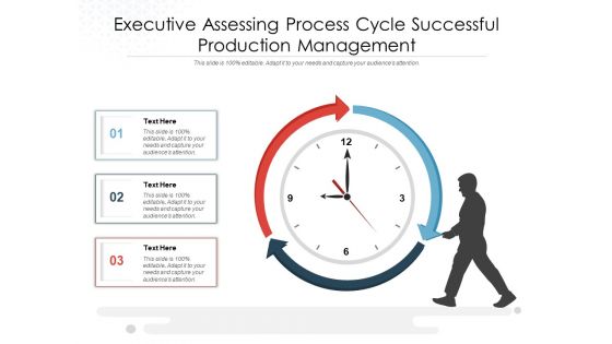 Executive Assessing Process Cycle Successful Production Management Ppt PowerPoint Presentation Infographic Template Brochure PDF