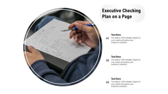 Executive Checking Plan On A Page Ppt PowerPoint Presentation Gallery Guide PDF Executive Checking Plan On A Page Ppt PowerPoint Presentation Gallery Guide PDF
