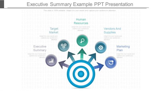 Executive Summary Example Ppt Presentation
