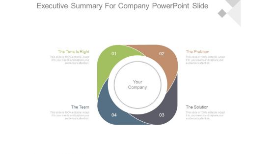 Executive Summary For Company Powerpoint Slide
