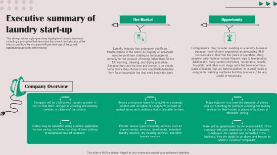 Executive Summary Of Laundry Start Up Summary PDF Executive Summary Of Laundry Start Up Summary PDF