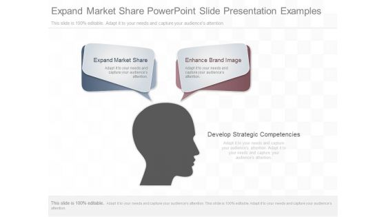 Expand Market Share Powerpoint Slide Presentation Examples
