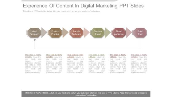 Experience Of Content In Digital Marketing Ppt Slides
