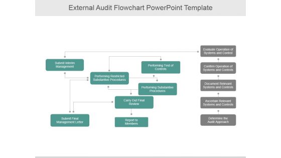 External Audit Flowchart Ppt PowerPoint Presentation Pictures