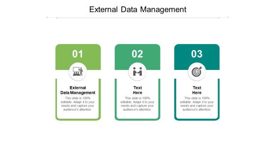 External Data Management Ppt PowerPoint Presentation Model Information Cpb Pdf