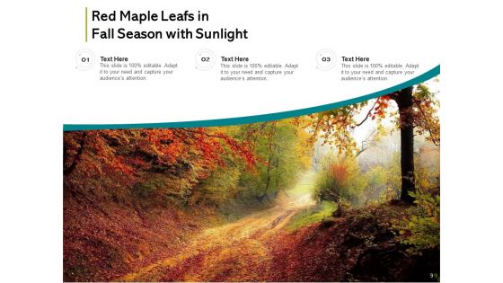 Fall Theme Individual Slip Sunlight Ppt PowerPoint Presentation Complete Deck